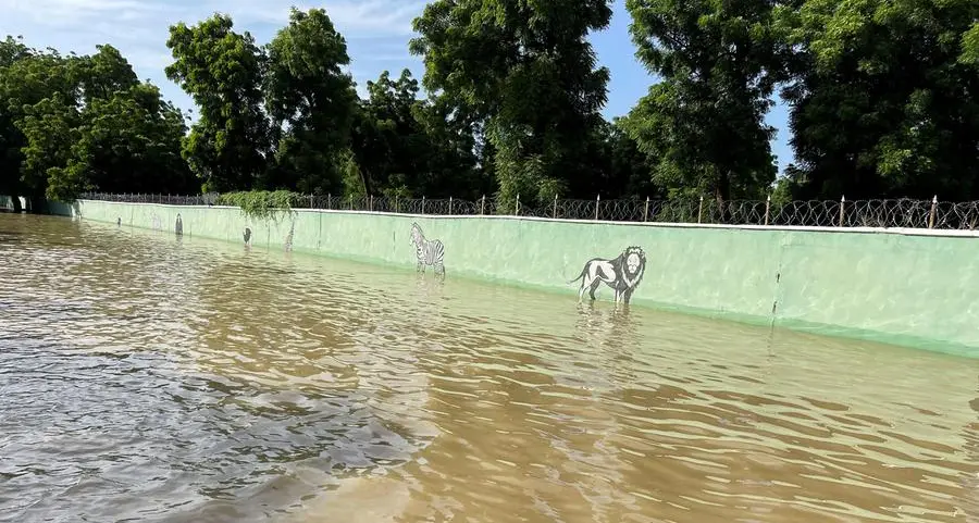 Nigeria: Crocs, snakes, other animals invade communities as flood hits Maiduguri zoo