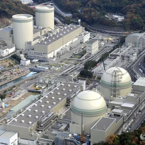 Japanese nuclear power operator Kansai Elec restarts seventh reactor