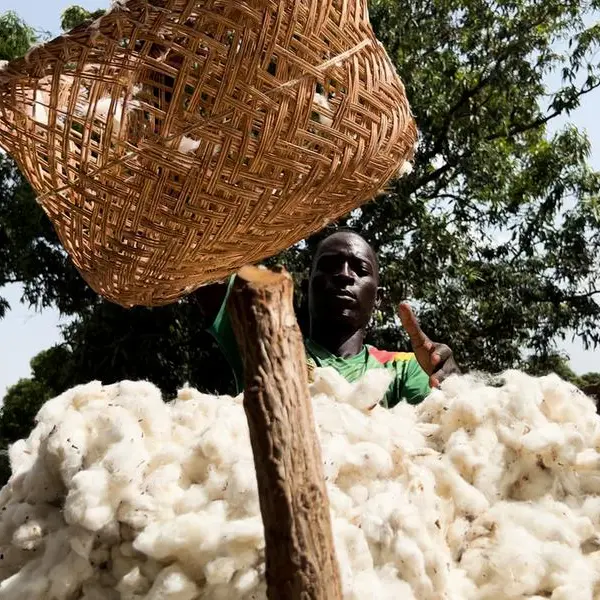 Chad's cotton farmers burned by climate change and false promises