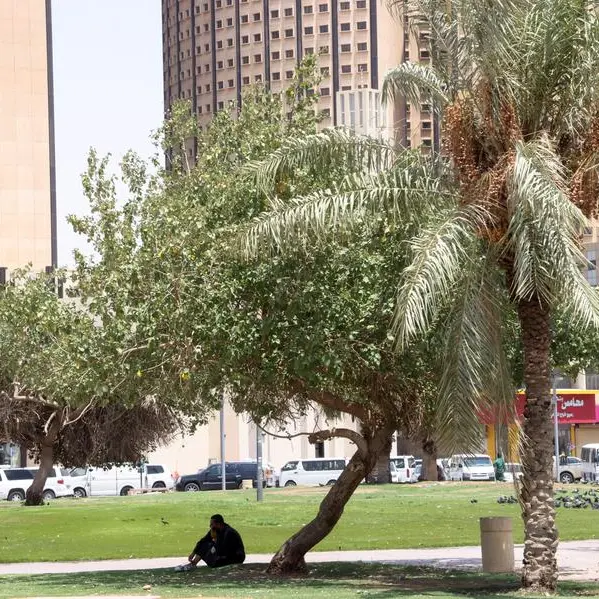 NCM forecast: Summer temperatures in Saudi Arabia to rise up to 2 °C above normal