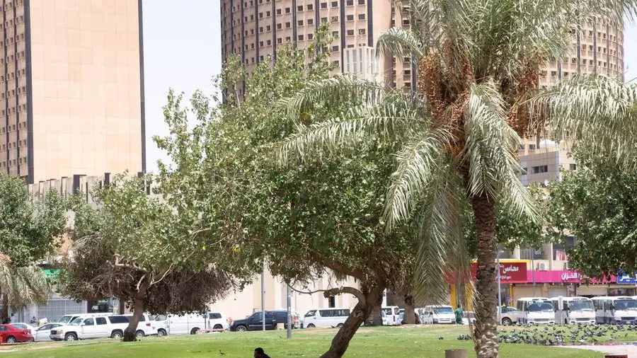 NCM forecast: Summer temperatures in Saudi Arabia to rise up to 2 °C above normal
