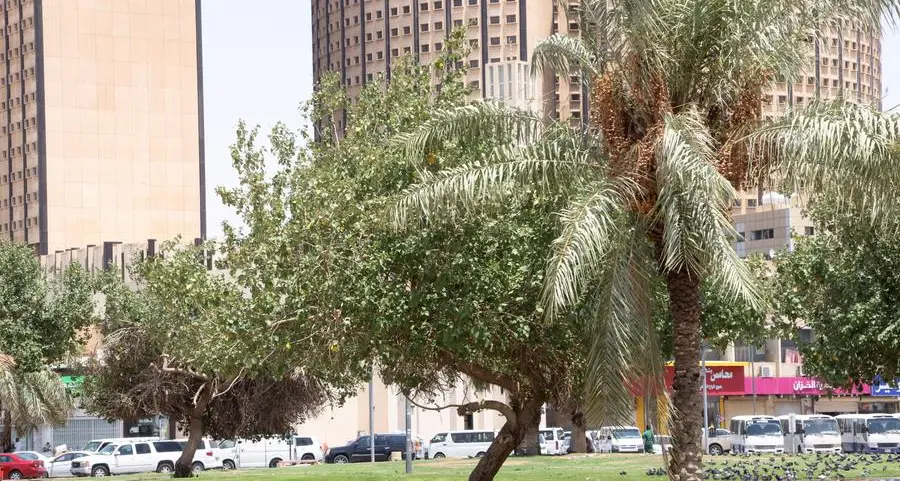 NCM forecast: Summer temperatures in Saudi Arabia to rise up to 2 °C above normal