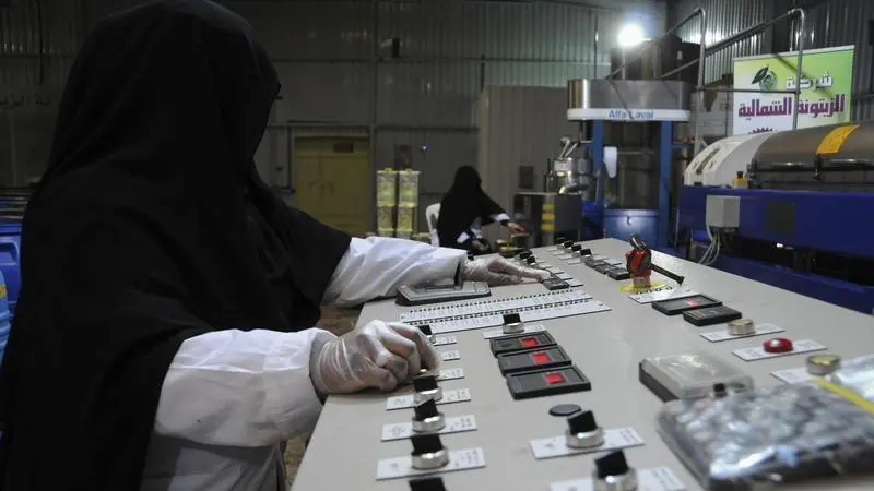 Saudi Arabia’s industrial production index up 1%, says report