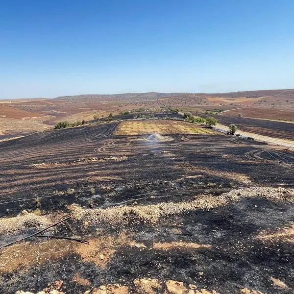 Five dead, dozens hurt in southeastern Turkey wildfire