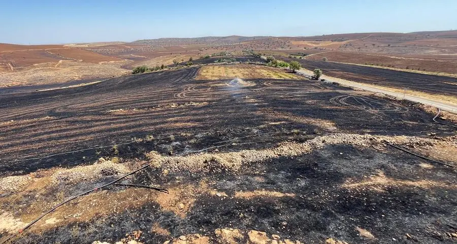 Five dead, dozens hurt in southeastern Turkey wildfire