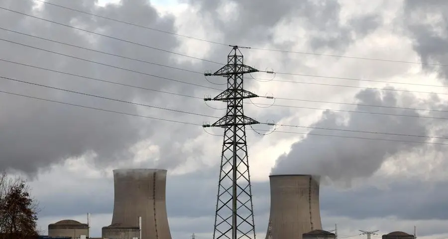 EDF Q1 revenues rise but nuclear output declines: France