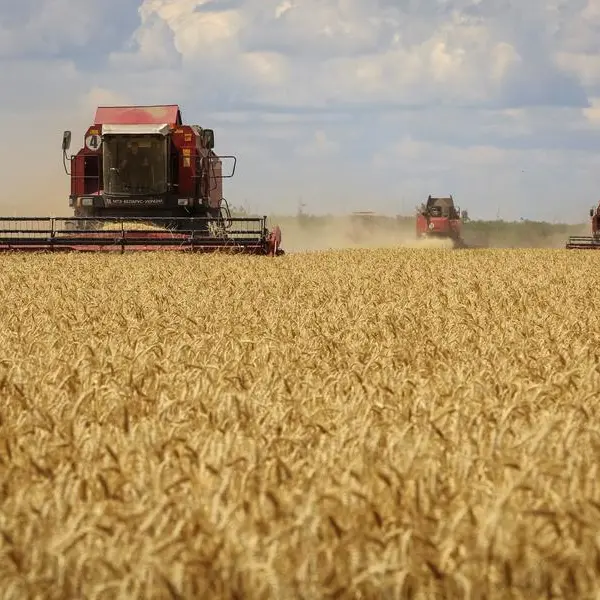 Ukraine's 2023 harvest at almost 74 mln T so far, ministry says