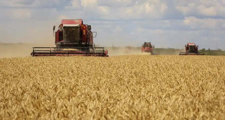Ukraine's 2023 harvest at almost 74 mln T so far, ministry says
