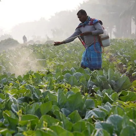 India-US trade pact and its impact on millions of Indian farmers