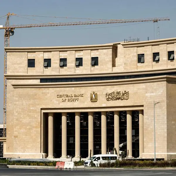 Egypt's external debts shrink by $14bln -- central bank