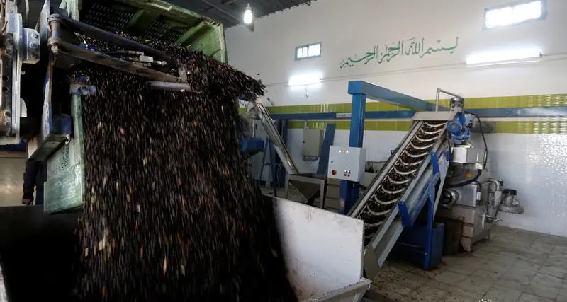 Tunisia: Olive oil export revenues up 82.7% at end of March 2024