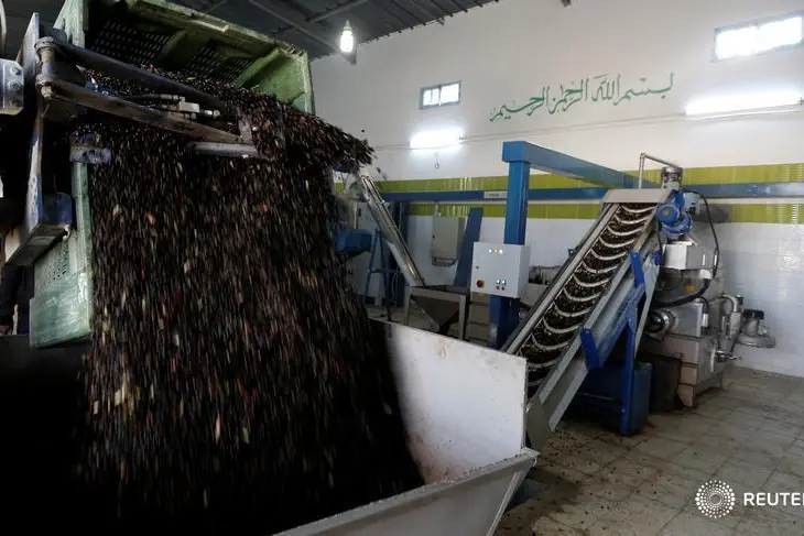 Tunisia: Olive oil export revenues up 82.7% at end of March 2024