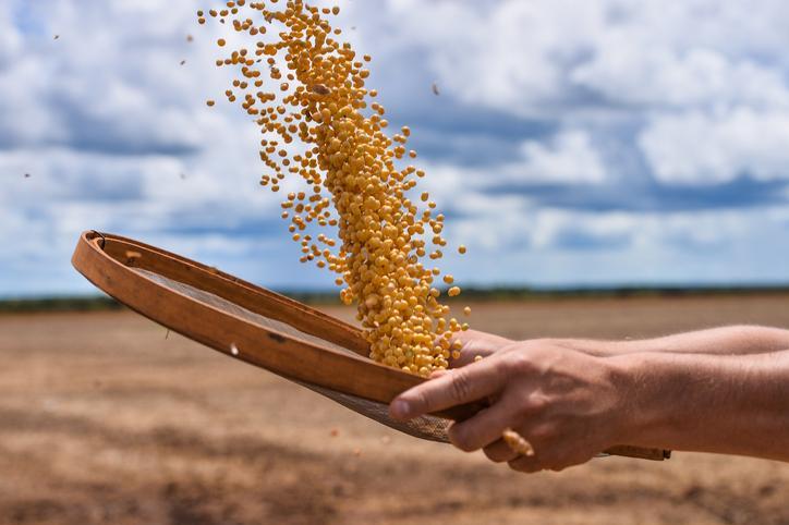 Corn extends losses on weaker crude, firm dollar
