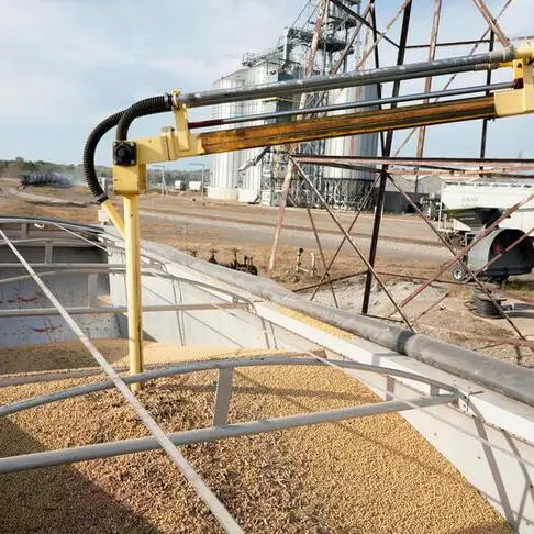 China March soybean imports shrink to lowest in four years