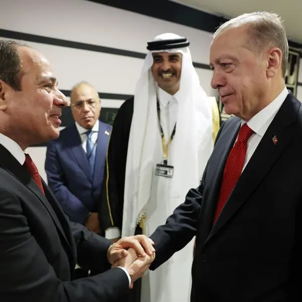 الرئيسان المصري والتركي يؤكدان أهمية دفع مسار العلاقات الثنائية على هامش قمة العشرين