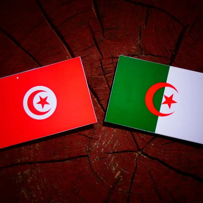 Tunisian and Algerian interior ministers discuss security cooperation