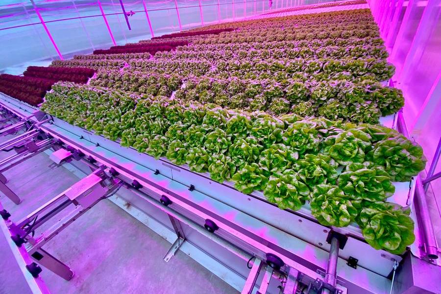 Green Life Company ushers in a new era of agriculture