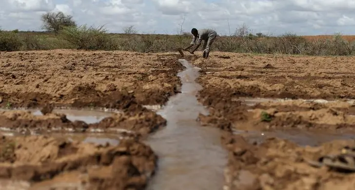 How can drought-parched Somalia break out of endless crisis?