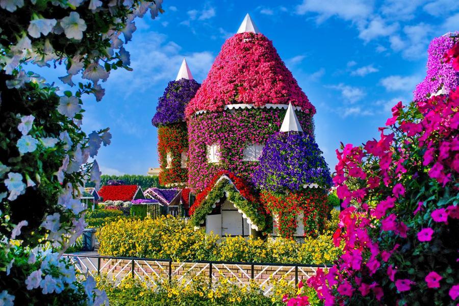 حديقة دبي المعجزة تزدهر من جديد بعروض الأزهار المبهرة