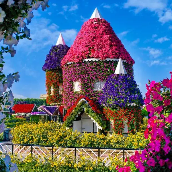 Dubai Miracle Garden blooms anew with dazzling floral displays