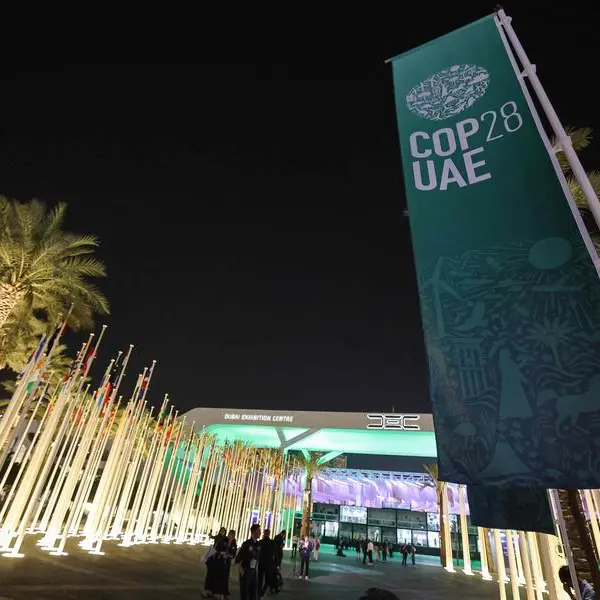 From 'historic' deals to climate protest: Top moments that defined COP28 in Dubai