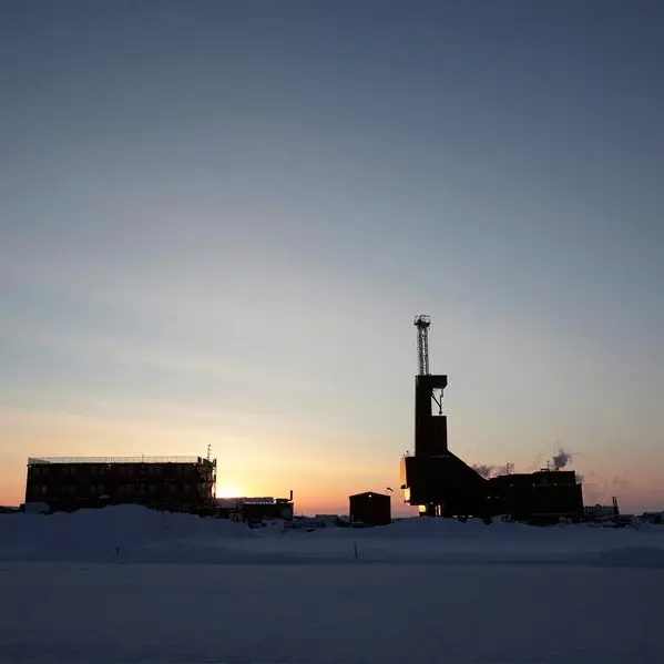 US crude output falls 6% in January due to severe cold, EIA says