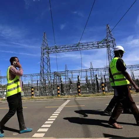 AfDB wants Kenya, Tanzania electricity deals finalised