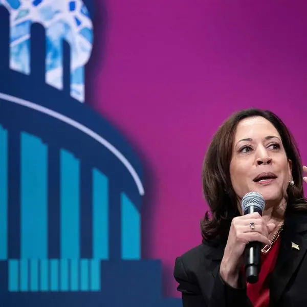 Kamala Harris tasked with new role fighting US gun violance