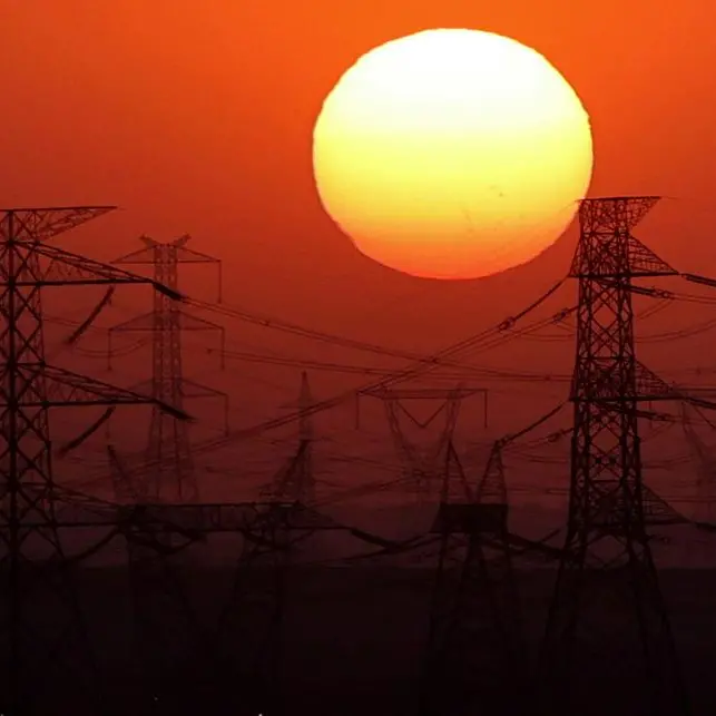 Egypt-Saudi power grid to be ready on time: official