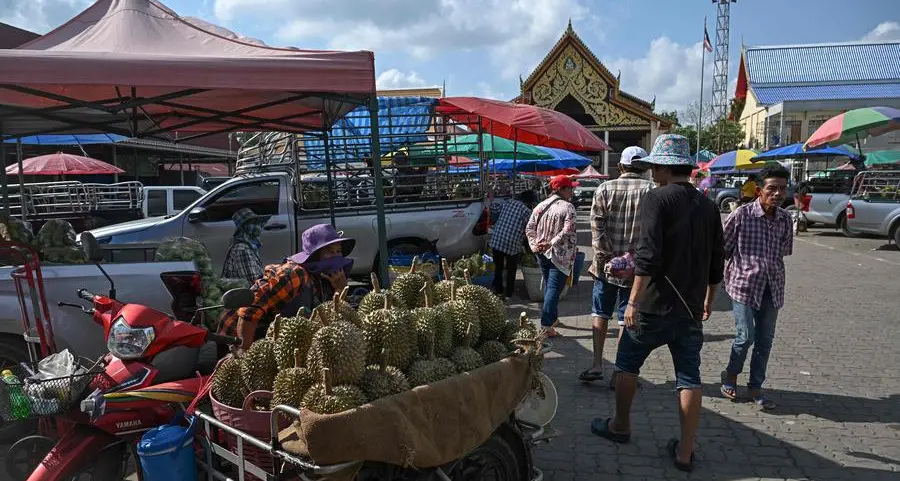 Heatwave hammers Thailand's stinky but lucrative durian farms
