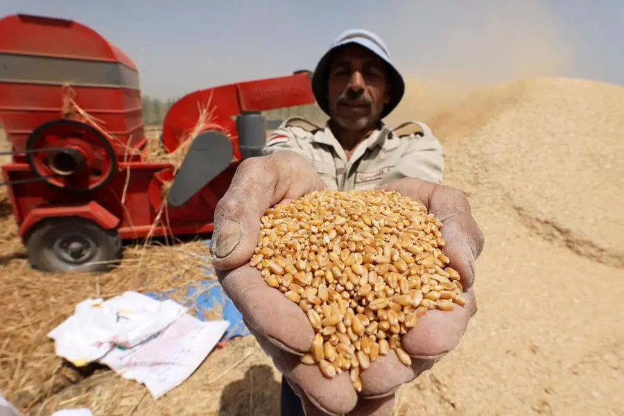 Egypt in talks for Emirati funding to buy Kazakh wheat - traders