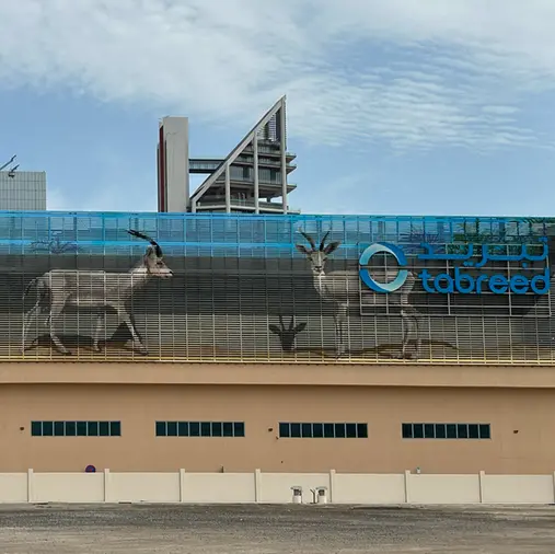 Tabreed brings street art to Abu Dhabi’s Al Maryah Island with breathtaking mural