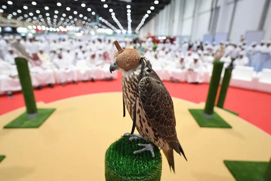 ADIHEX...a global platform for the common human heritage. Image courtesy WAM.