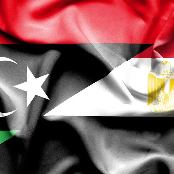 Egyptian-Libyan trade jumps 42% YoY in 11 months