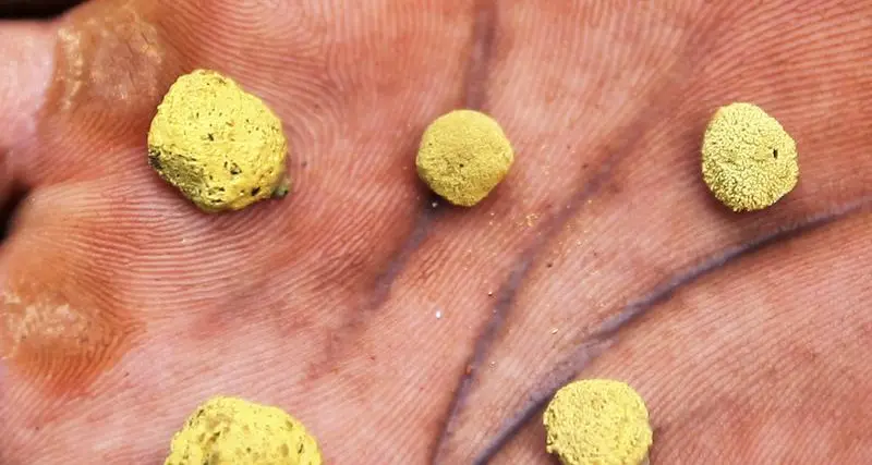 موجز زاوية مصر: البنك المركزي يعتزم طرح أذون خزانة بالدولار