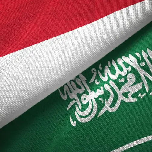 Saudi Arabia, Indonesia sign several deals worth around $27bln, state news agency says