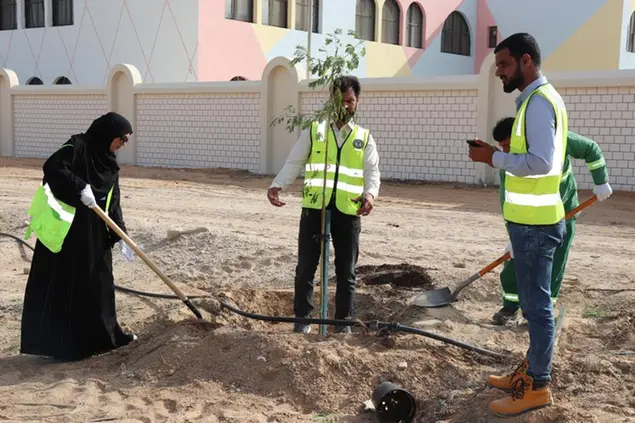 <p>EEG plants 500 saplings under &quot;For Our Emirates We Plant&quot; programme in Abu Dhabi</p>\\n