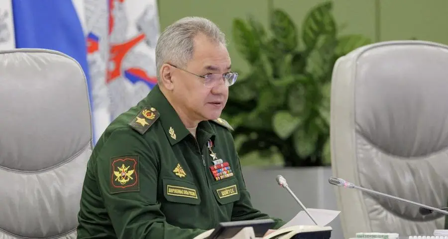 Russia-Iran ties have reached new level - Russian defence minister