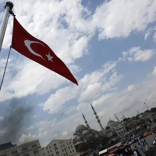 Turkey discussed Gaza with Egypt, Jordan -Turkish source