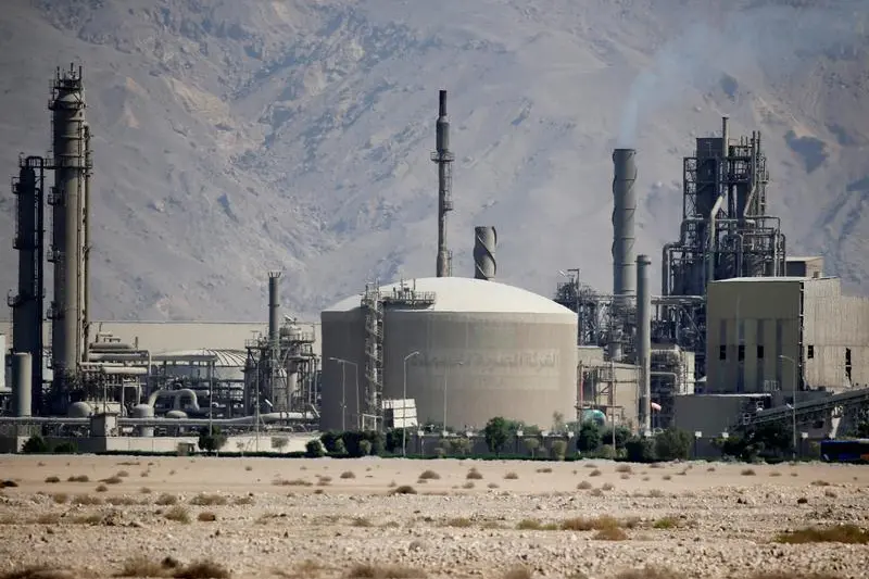 Egypt: Abu Qir Fertilizers targets $184mln net profits before tax for 2026