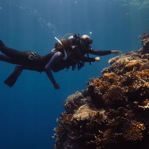 Red Sea Global and Warner Bros. Discovery unite on Red Sea coral documentary