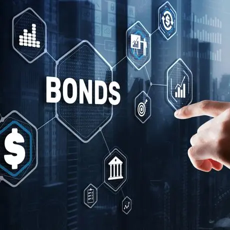 Arab Palestinian Investment Co places 5-year bonds worth $120mln
