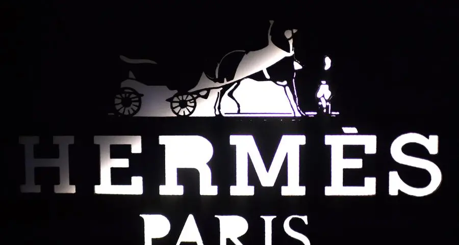 Hermes rides luxury boom to record profits