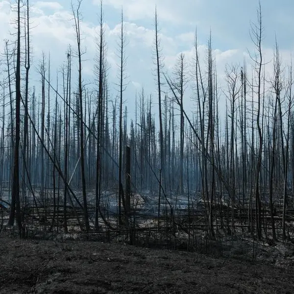 Canada's record wildfire season: what's behind it and when will it end?