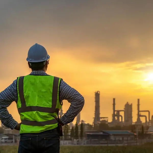 Egypt issues 7,200 industrial licences in one year