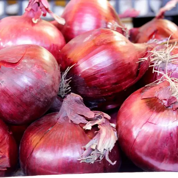 UAE: Will onion prices decrease as India lifts ban on exports?