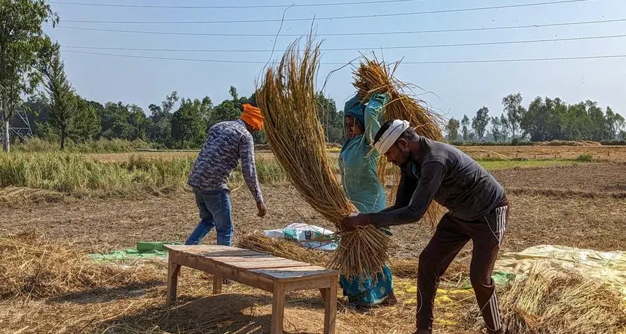 In India, 'natural farming' draws young people back to the land