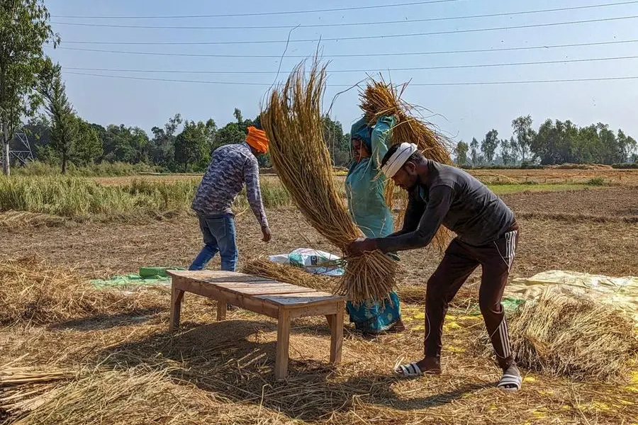 India permits Rice Exporters Federation to export non-basmati white rice for Nepal earthquake victims