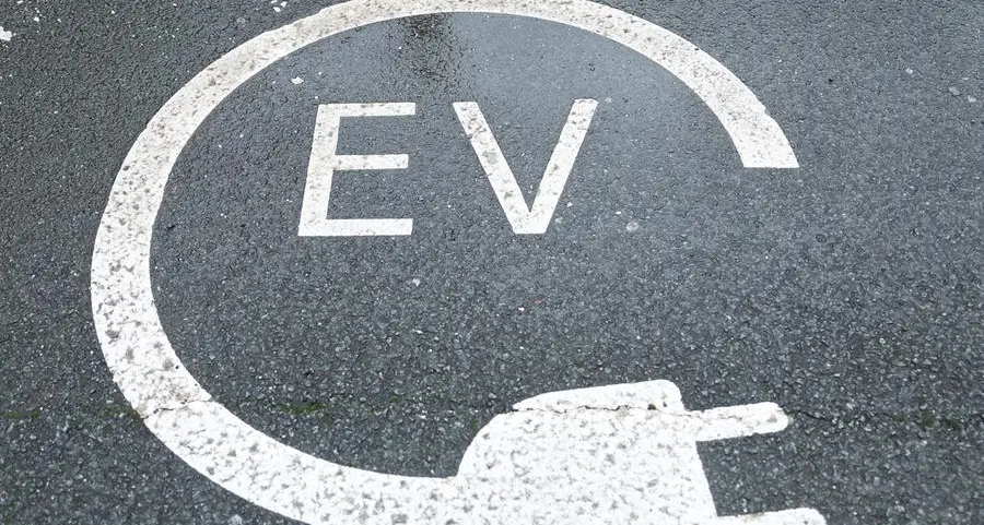 Rough road ahead for US EV makers despite upbeat quarterly sales