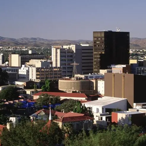 Namibia's new president vows to diversify economy, tackle joblessness